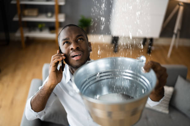 Best Flooded house restoration  in Tara Hills, CA