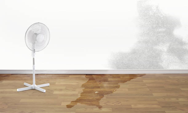Best Commercial water damage restoration  in Tara Hills, CA