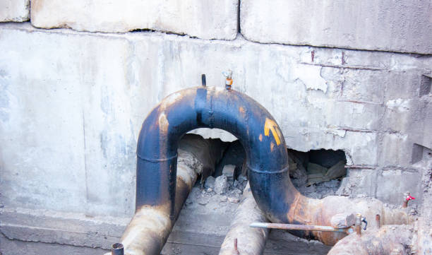 Best Professional water damage repair  in Tara Hills, CA
