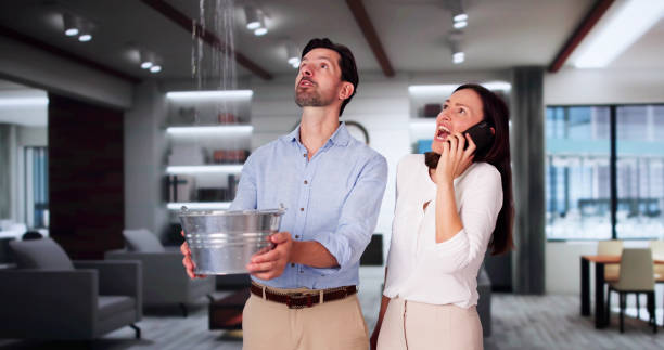 Best Water damage contractors near me  in Tara Hills, CA
